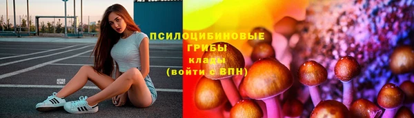 2c-b Алексин