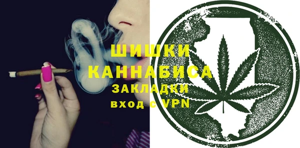 дурь Алзамай