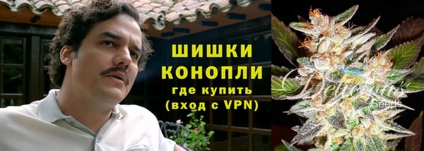 дурь Алзамай