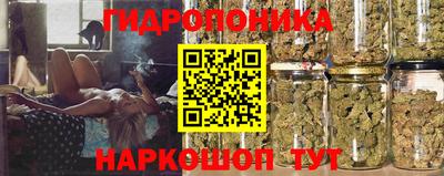 Альфа ПВП Лесосибирск