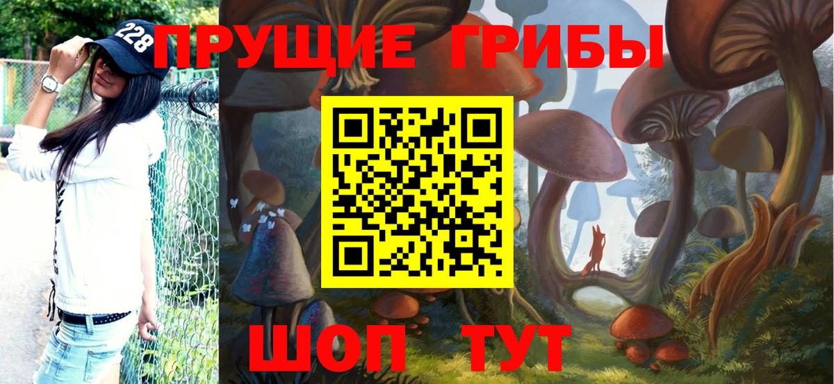 Воронеж  Галлюциногенные грибы Cubensis  Вход с VPN 